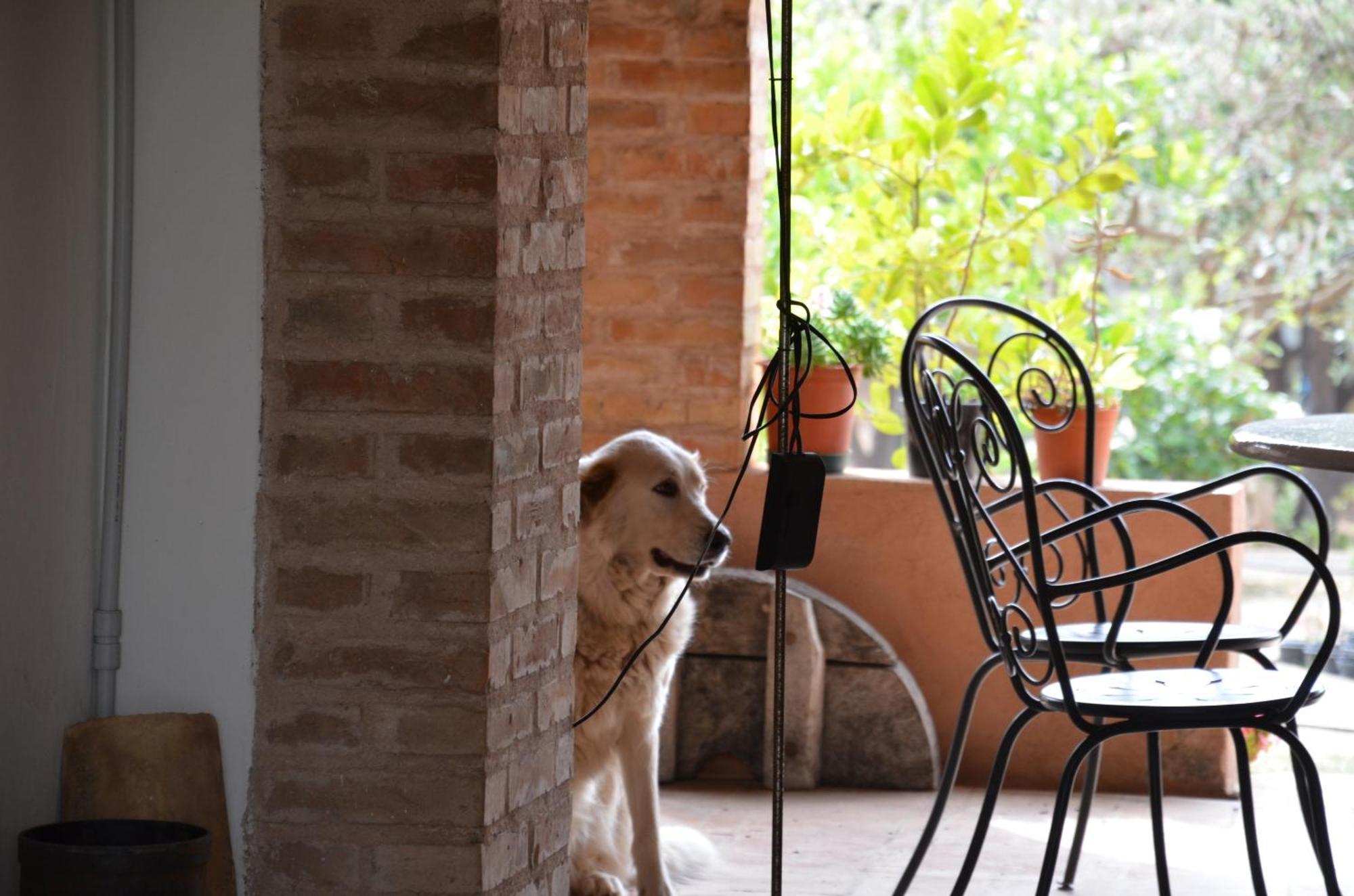 Borgo Piazza Bed and Breakfast Catanzaro Kamer foto