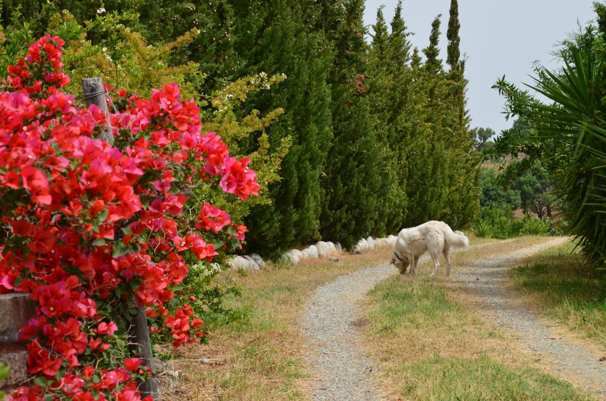 Borgo Piazza Bed and Breakfast Catanzaro Kamer foto