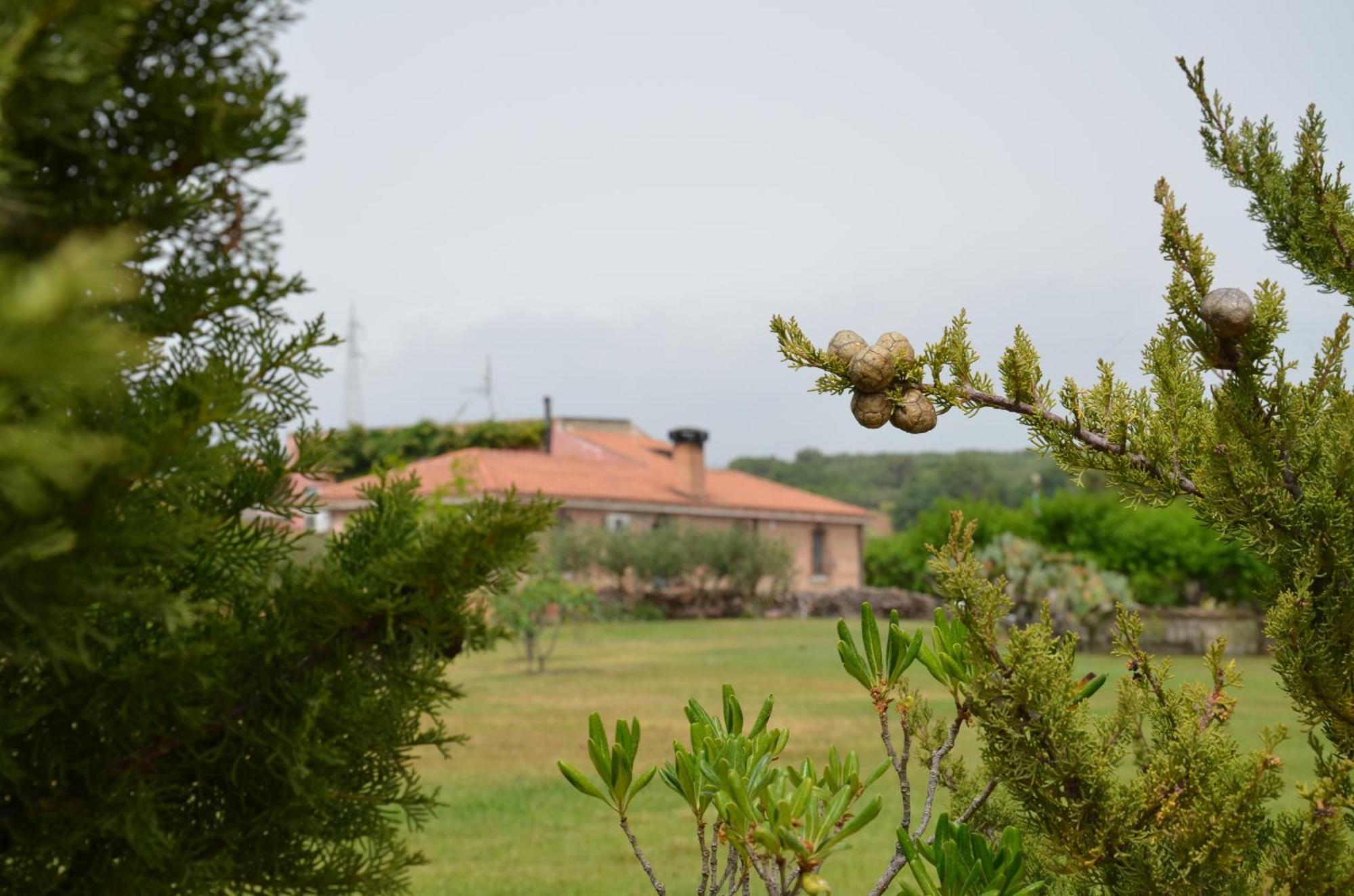 Borgo Piazza Bed and Breakfast Catanzaro Kamer foto